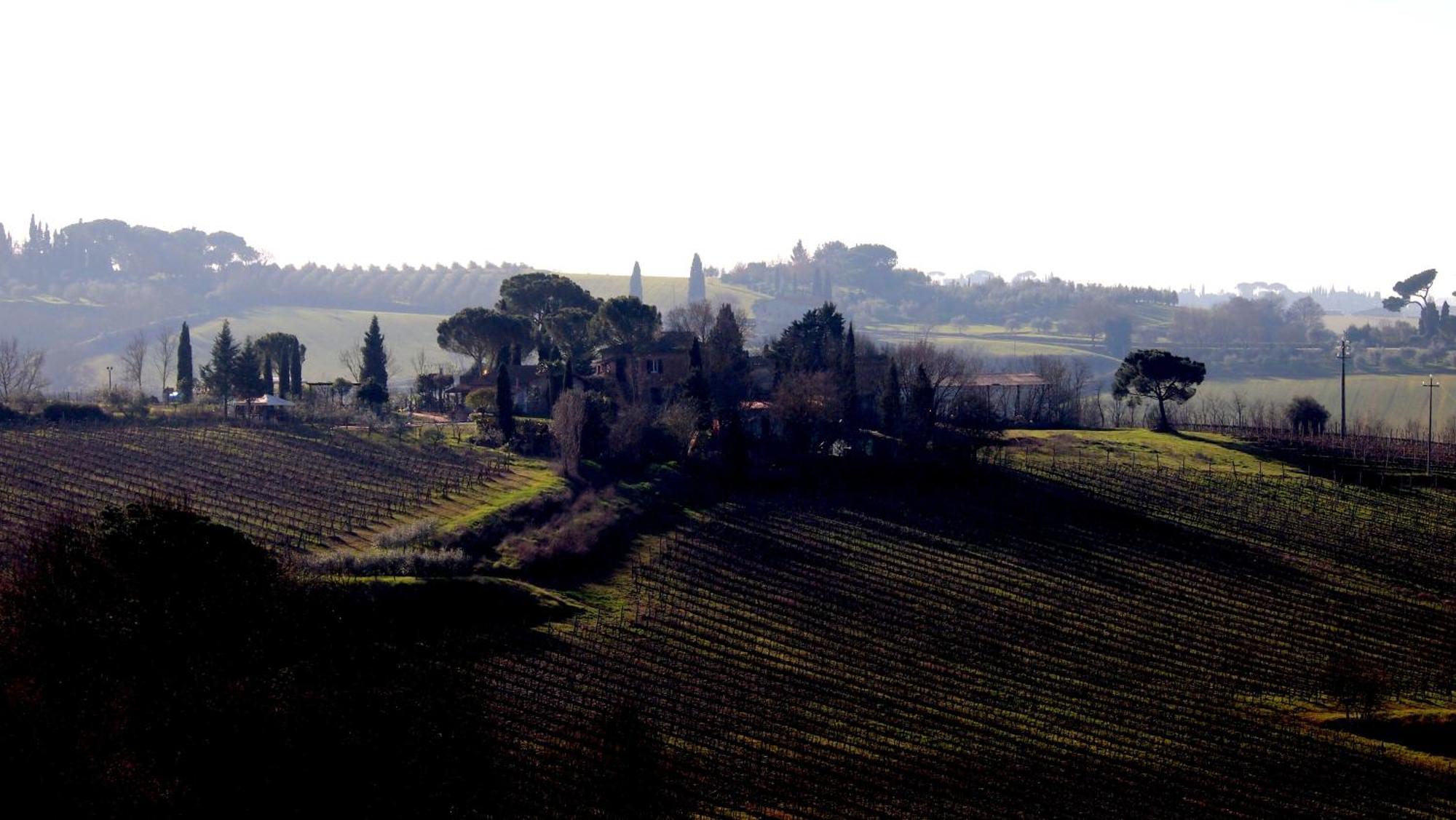 Agriturismo La Terra Valiano Zewnętrze zdjęcie