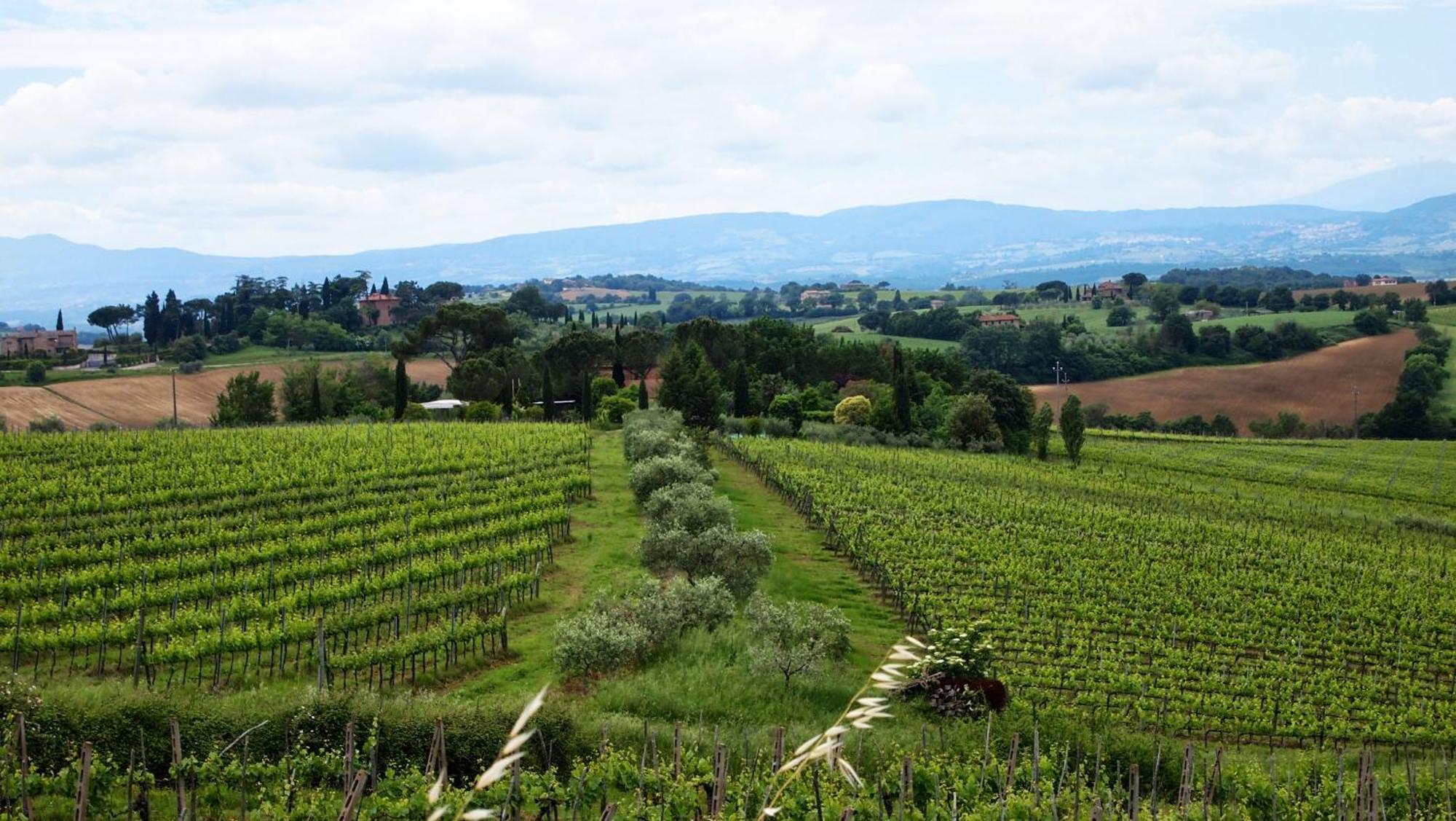 Agriturismo La Terra Valiano Zewnętrze zdjęcie