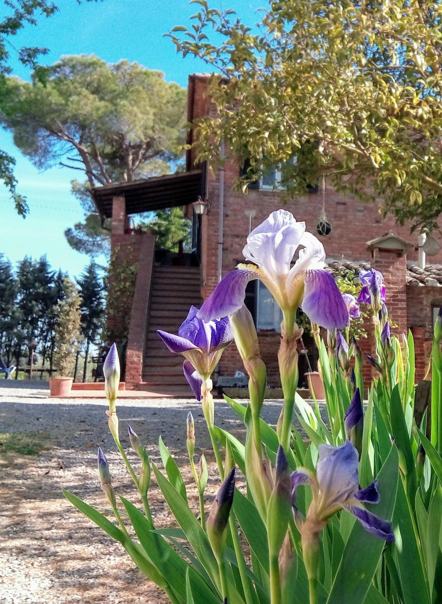 Agriturismo La Terra Valiano Zewnętrze zdjęcie