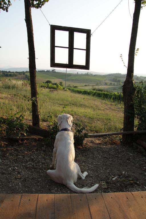 Agriturismo La Terra Valiano Zewnętrze zdjęcie